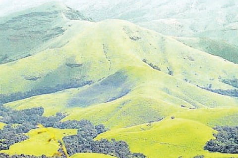 western ghat
