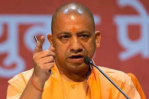 yogi
