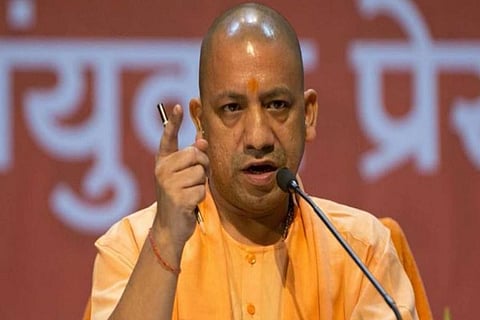 yogi