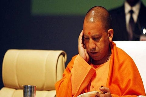 yogi