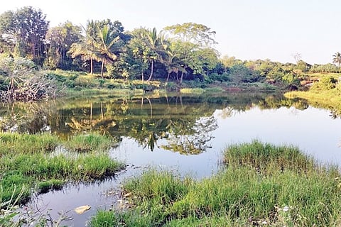12-12-RAMA-BILAGUMBA2