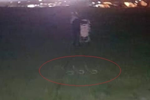 666 Feature