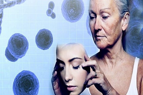 Anti-Aging