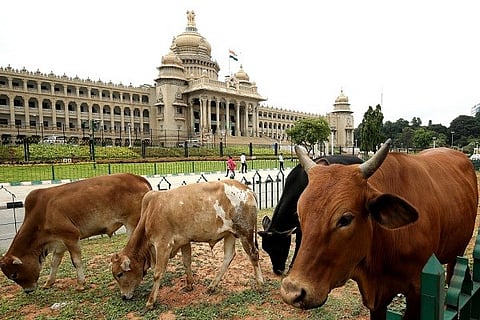Cow Vidhan Soudha BNG