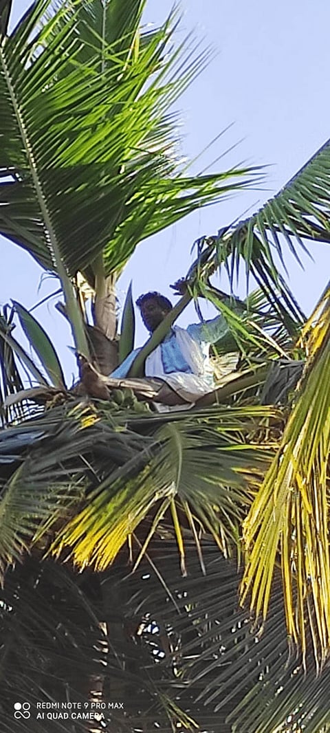 IMG-20201216-WA0016.png