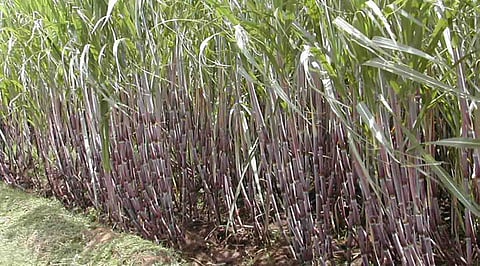 Kabbu