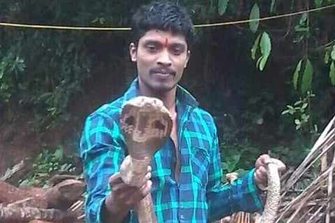 Snake Master