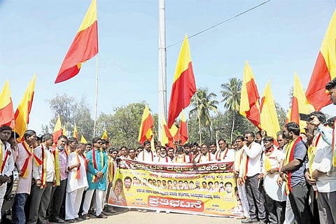VJP KARAVE