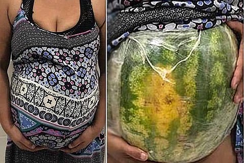 Water Melon 1