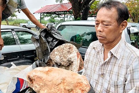 Whale Vomit