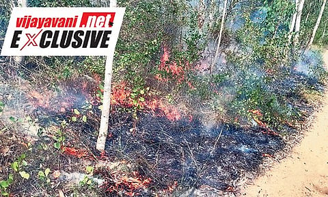 bandipur fire line
