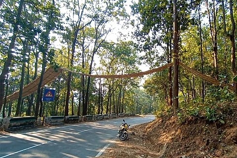 bridge
