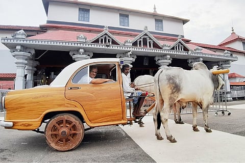 cow car