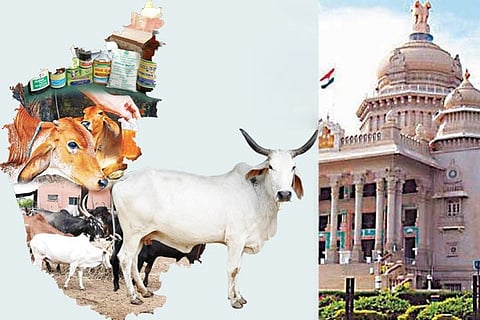 cow slaughter-ban bill pass
