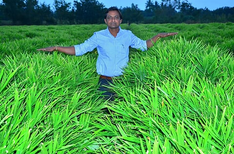 kashiling-1