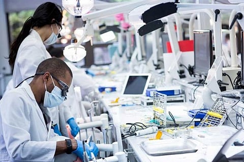 lab