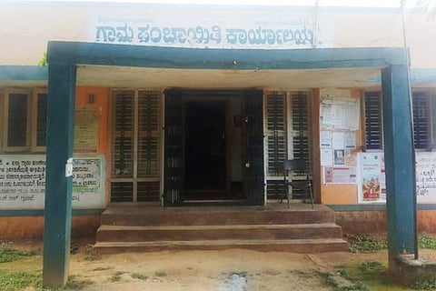 masandra gp