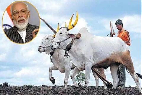 modi1
