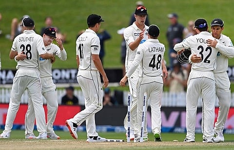 nz and wi for web