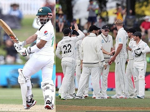 pak vs nz web