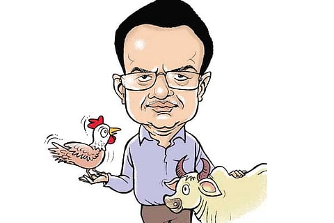 poultry