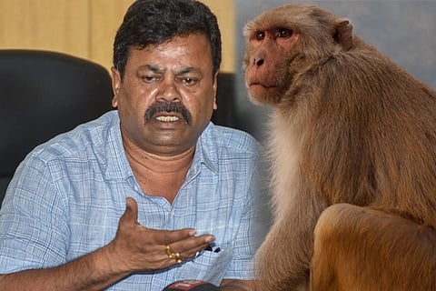 renukacharya
