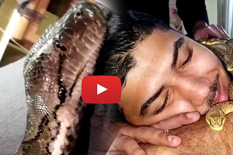 snake massage