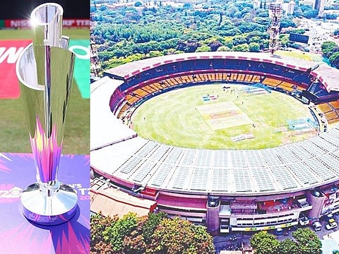 t20 wc web