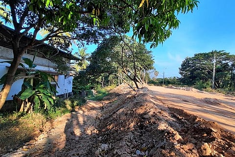 tree