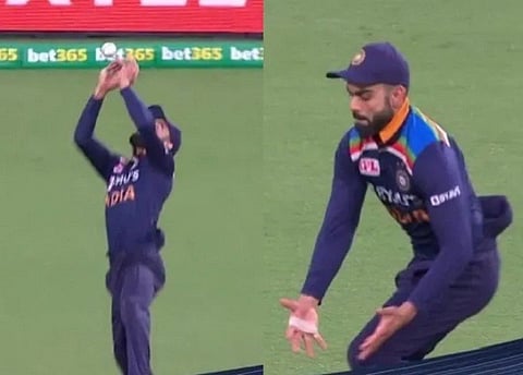 virat kohli catches of web