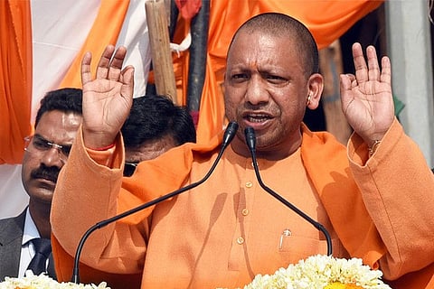 yogi