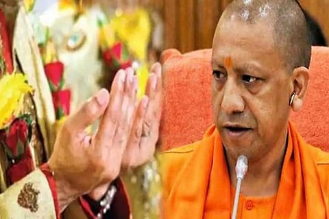 yogi