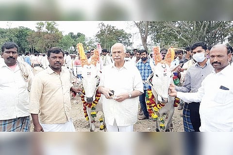 060121 Kudligi Cattle Fair