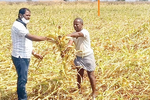 10 svr 01