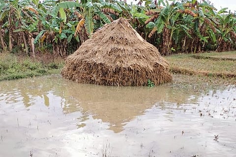 7sirsi4a