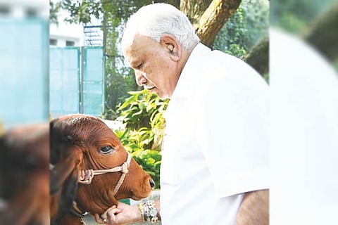 CM BSY