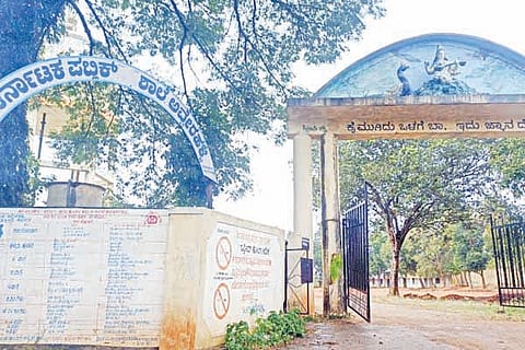 Kailancha-Ph-01-Avverahalli Karnataka Public School-6-1-2021