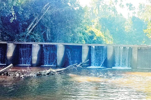 anekattu