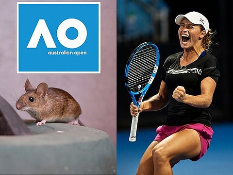aus tennis mouse web