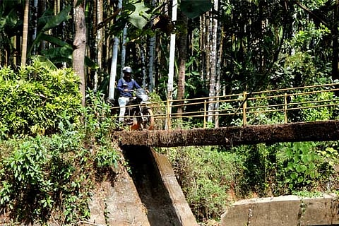 bridge