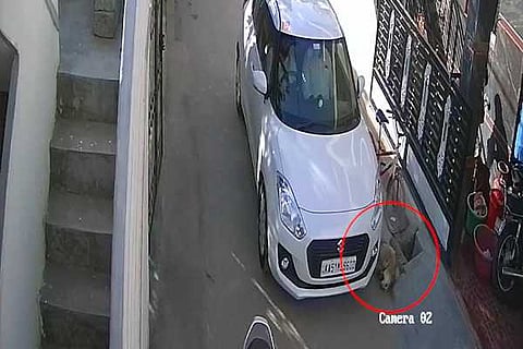 car