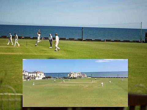 cricket ground web