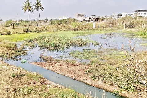 h21- Kirtana Park 1