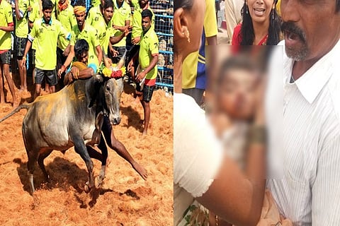 jallikattu