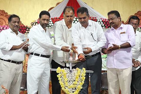 mallige new