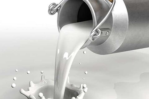 milk
