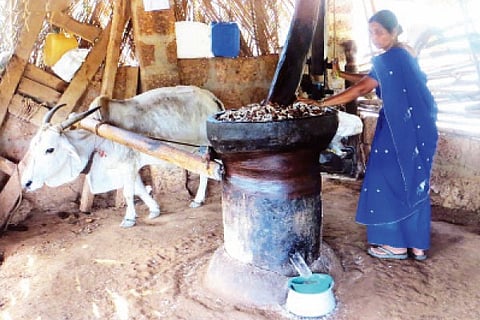 oil busines