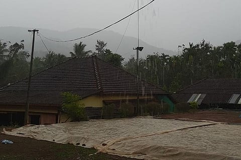 rain