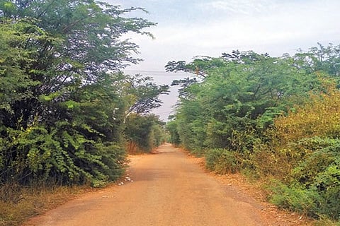 shigli 12-01-2021 road