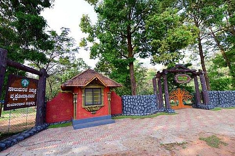 tree park